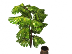 plant in a pot game ready 3D Model