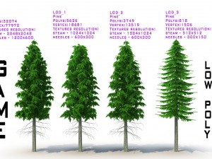pine tree 3D 모델
