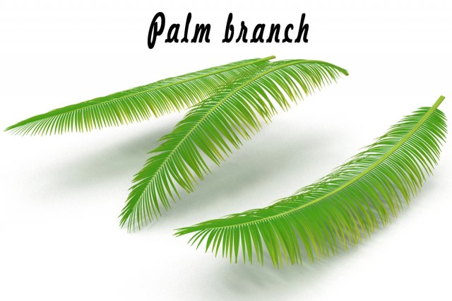 palm branch 3D 모델 .c4d .max .obj .3ds .fbx .stl .blend 