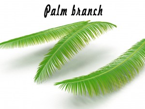 palm branch Modelo 3D
