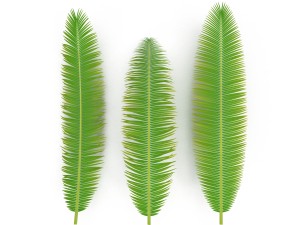 palm branch 3D 모델