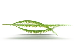 palm branch 3D 모델