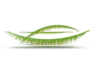 palm branch 3D 모델