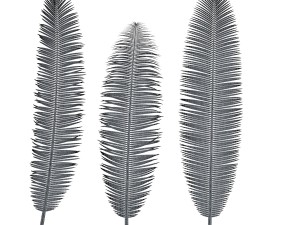 palm branch 3D 모델