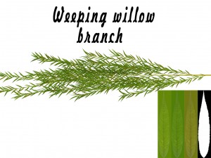 weeping willow branch 3D Model