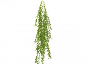 weeping willow branch Modello 3D