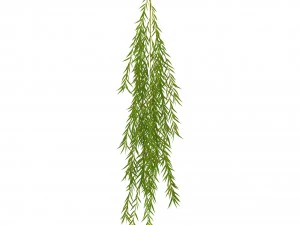 weeping willow branch 3D Model