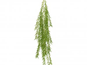 weeping willow branch 3D Model