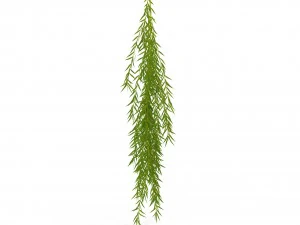 weeping willow branch 3D Model