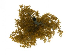broadleaf maple yellow 3D Model