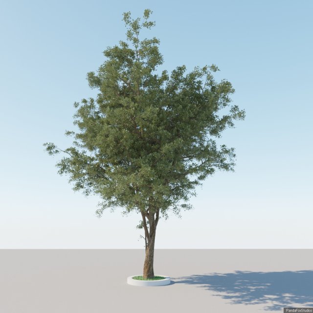 generic tree a1 Modèle 3D .c4d .max .obj .3ds .fbx .stl .blend 