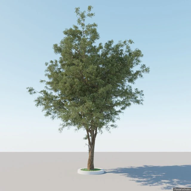 一般的なツリー a1 3Dモデル .c4d .max .obj .3ds .fbx .stl .blend