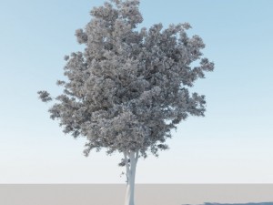 generic tree a1 Modèle 3D