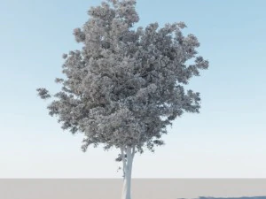 一般的なツリー a1 3Dモデル