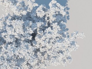 generic tree a1 Modèle 3D