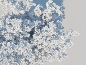 一般的なツリー a1 3Dモデル