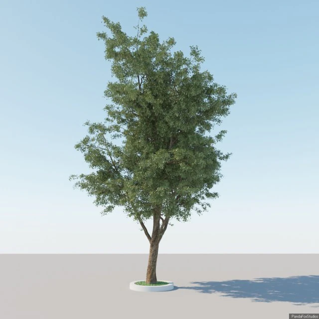 一般的なツリー a2 3Dモデル .c4d .max .obj .3ds .fbx .stl .blend