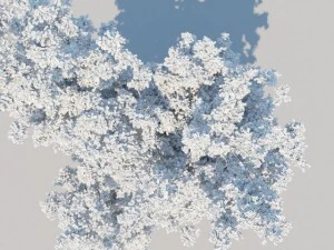 一般的なツリー a2 3Dモデル