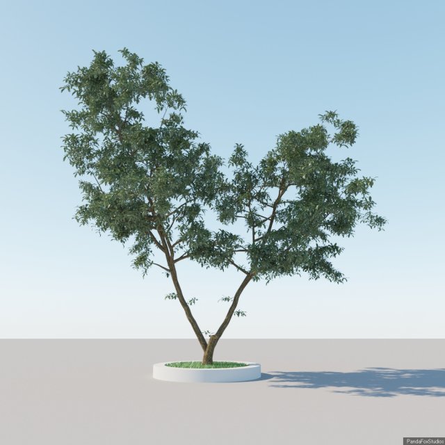 generic tree a3 3D Model .c4d .max .obj .3ds .fbx .stl .blend 