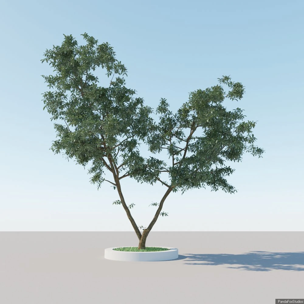 generic tree a3 3D Model .c4d .max .obj .3ds .fbx .stl .blend