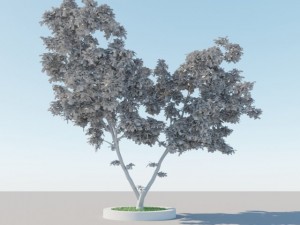 generic tree a3 3D Model