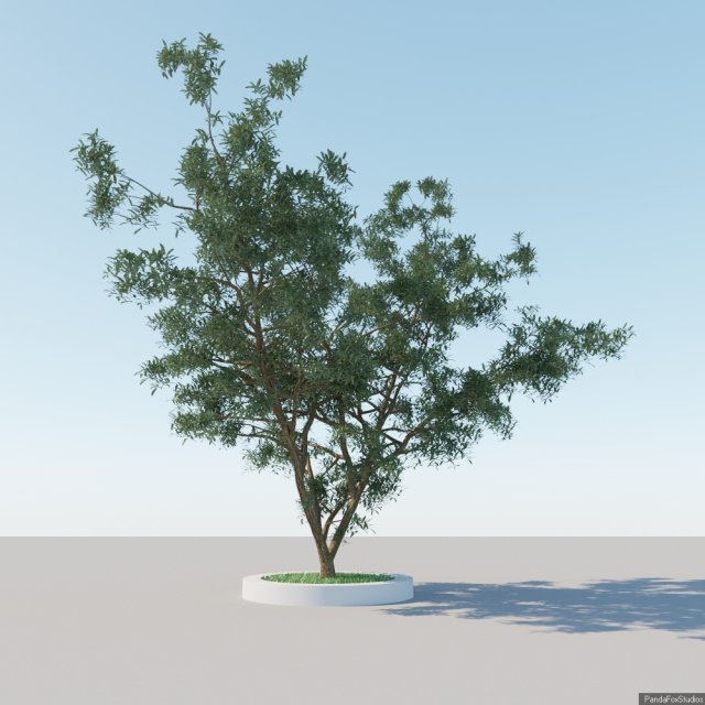 generic tree a4 3D Model .c4d .max .obj .3ds .fbx .stl .blend 