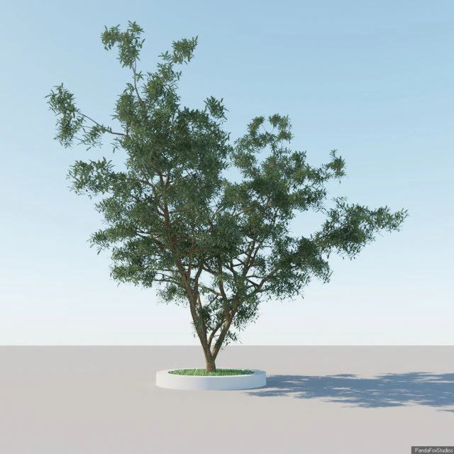 一般的なツリー a4 3Dモデル .c4d .max .obj .3ds .fbx .stl .blend 