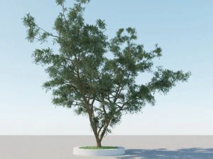 一般的なツリー a4 3Dモデル