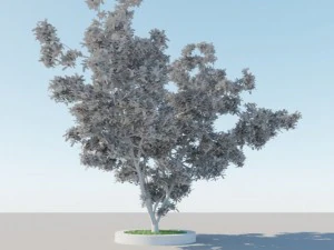 一般的なツリー a4 3Dモデル