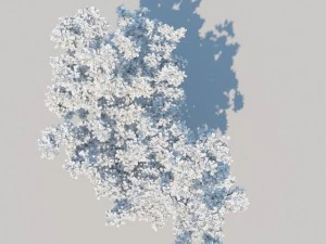 一般的なツリー a4 3Dモデル