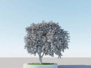 generieke boom a5 3D Model