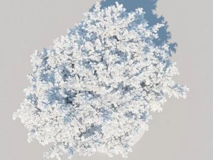 generieke boom a5 3D Model