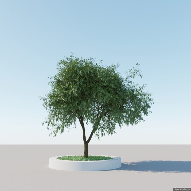 generic tree a6 3D 模型 .c4d .max .obj .3ds .fbx .stl .blend 