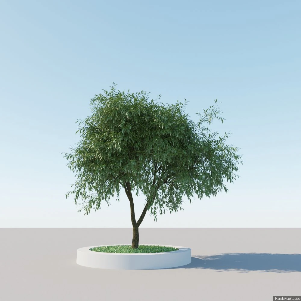 generic tree a6 3D Model .c4d .max .obj .3ds .fbx .stl .blend