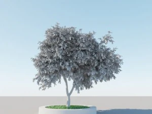 generic tree a6 3D Model