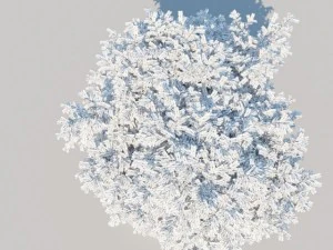generic tree a6 3D Model