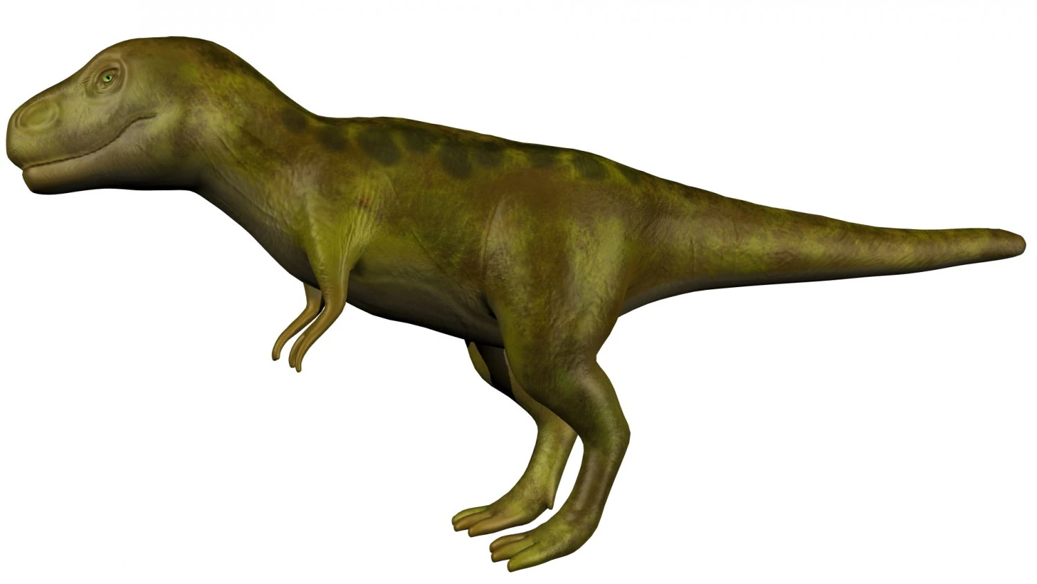 t-rex 3D Model .c4d .max .obj .3ds .fbx .stl .blend 