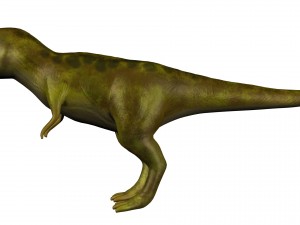 t-rex 3D 模型
