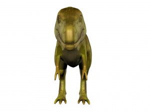t-rex 3D 模型