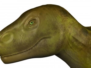 t-rex 3D 模型