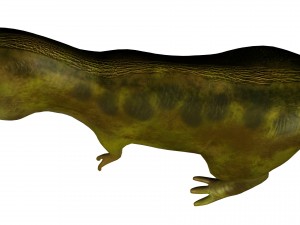 t-rex 3D 模型