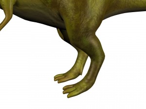 t-rex 3D 模型