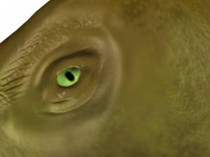 t-rex 3D 模型