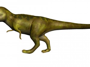 t-rex 3D 模型