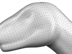 t-rex 3D 模型
