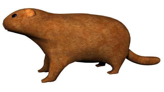 textured groundhog Modello 3D .c4d .max .obj .3ds .fbx .stl .blend 