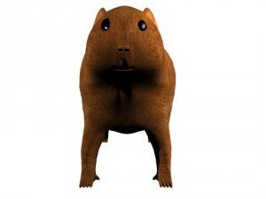 textured groundhog Modello 3D