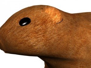 textured groundhog Modello 3D