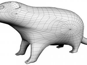 textured groundhog Modello 3D