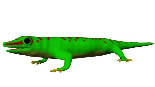madagascar day gecco 3D Model .c4d .max .obj .3ds .fbx .stl .blend 